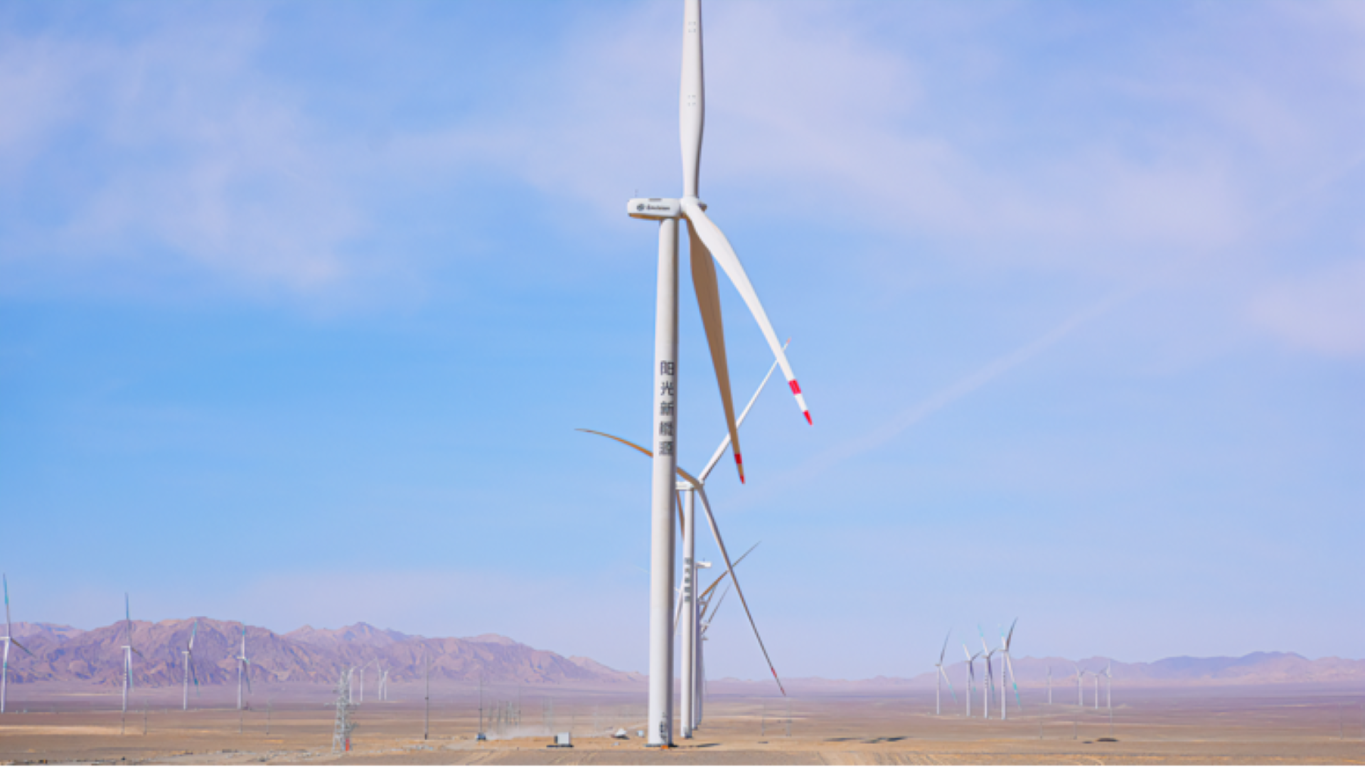 西北的风，点亮中原的灯