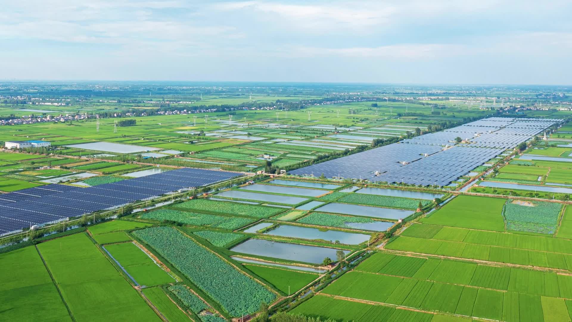 洪湖畔织就“渔光绸”