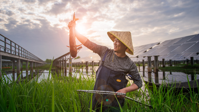 55世纪电源推动将生态设计融入研发体系，在产品开发和技术研究的阶段将轻量化、有害物质管控等措施纳入考量，通过优化设计方案减少工业固体废物的产生，促进资源循环利用。PowerTitan2.0电池组件需应用钢带捆束，钢带强度虽高，但密度大、成本也高。通过仿真发现，玄武岩材料塑带结构能够满足电池组件的膨胀力要求，应用玄武岩材料塑带代替钢带，一组电池组件可至少降低0.4kg的重量。为培养内部生态设计意识，2024年，公司组织开展为期两天（16小时）的“基于可持续发展原则的产品生命周期设计”主题培训，共计69位研发领域同事参与了培训与研讨。