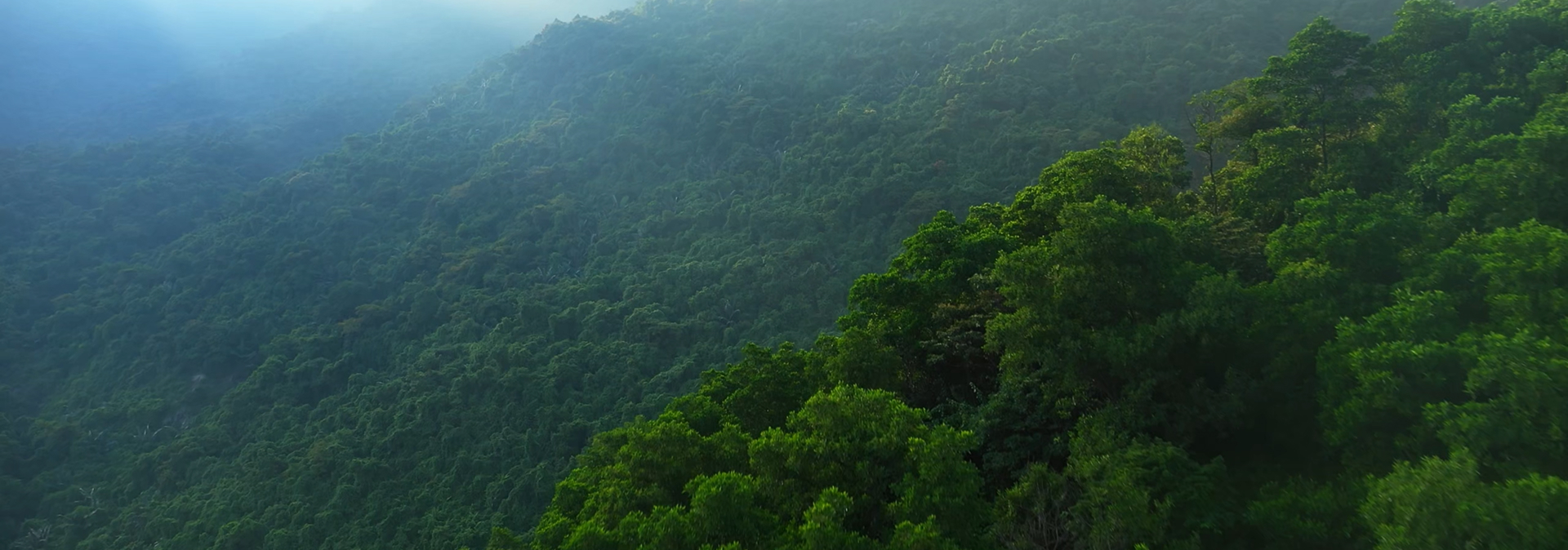 汇聚善意 共创美好