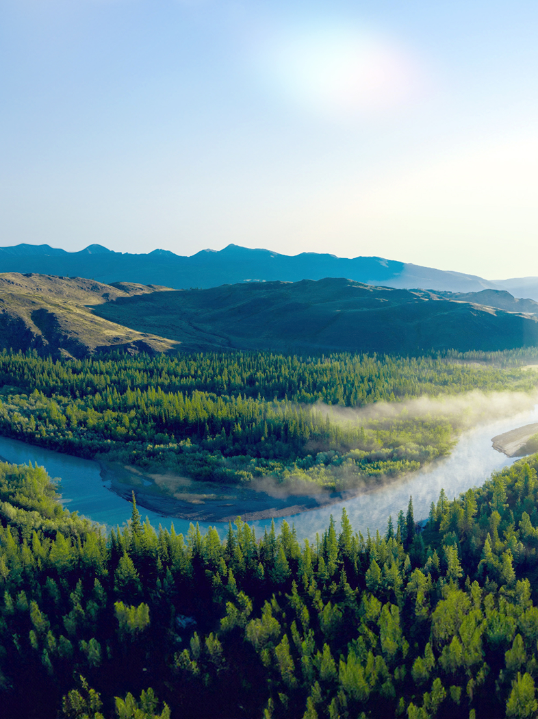 5.4亿吨"碳息"的减法